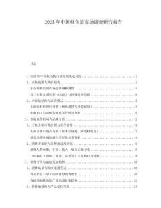 2025年中國魷魚飯市場調查研究報告