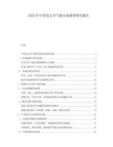 2025年中國雙人冷氣被市場調查研究報告