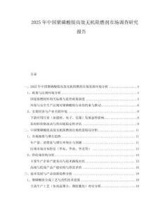 2025年中國(guó)聚磷酸銨高效無機(jī)阻燃劑市場(chǎng)調(diào)查研究報(bào)告