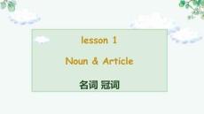 中考英語(yǔ)一輪復(fù)習(xí)語(yǔ)法Lesson1+名詞&冠詞課件