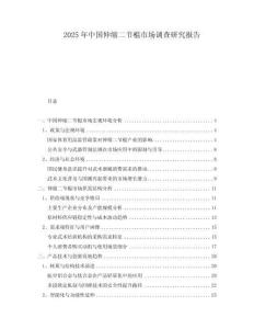 2025年中國伸縮二節(jié)棍市場調(diào)查研究報(bào)告