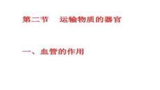 【軟件測試方法與策略】2-2-1血管