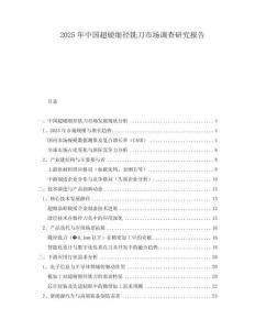 2025年中國超硬細徑銑刀市場調查研究報告