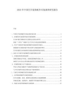 2025年中國汽車裝飾配件市場調查研究報告