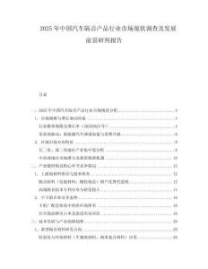2025年中國(guó)汽車(chē)隔音產(chǎn)品行業(yè)市場(chǎng)現(xiàn)狀調(diào)查及發(fā)展前景研判報(bào)告