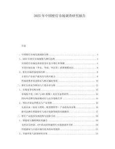 2025年中國壁燈市場調查研究報告