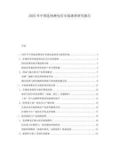 2025年中國連體磨電燈市場調(diào)查研究報告