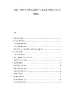 2025-2030中國漂洗添加劑行業(yè)成本控制與利潤空間分析