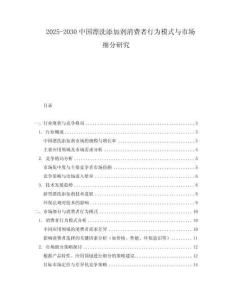 2025-2030中國漂洗添加劑消費者行為模式與市場細分研究