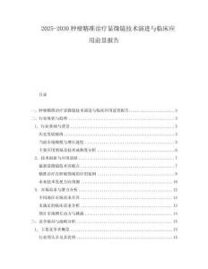 2025-2030腫瘤精準(zhǔn)治療顯微鏡技術(shù)演進(jìn)與臨床應(yīng)用前景報(bào)告