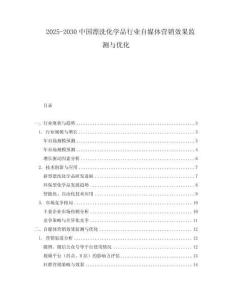 2025-2030中國漂洗化學品行業自媒體營銷效果監測與優化