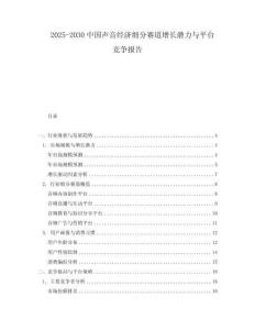 2025-2030中國聲音經濟細分賽道增長潛力與平臺競爭報告