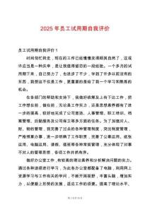 2025年員工試用期自我評價