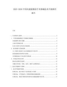 2025-2030中國內窺鏡微創手術器械技術升級路徑報告