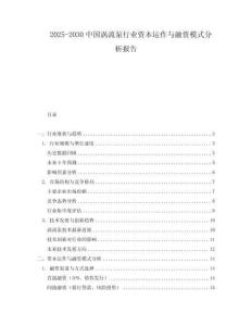2025-2030中國渦流泵行業(yè)資本運作與融資模式分析報告