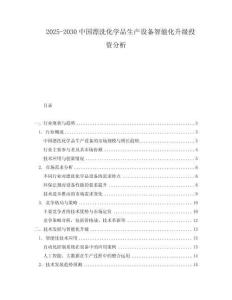 2025-2030中國漂洗化學(xué)品生產(chǎn)設(shè)備智能化升級投資分析