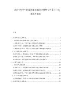 2025-2030中國漂洗添加劑企業(yè)海外專利布局與技術(shù)出海策略