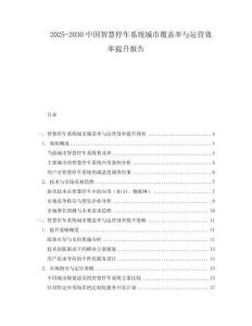 2025-2030中國智慧停車系統(tǒng)城市覆蓋率與運營效率提升報告