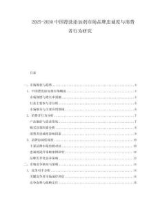 2025-2030中國漂洗添加劑市場品牌忠誠度與消費者行為研究