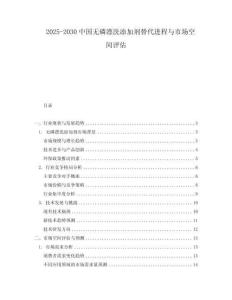 2025-2030中國無磷漂洗添加劑替代進程與市場空間評估
