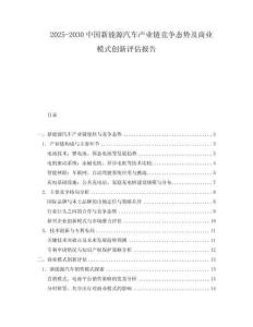 2025-2030中國新能源汽車產業鏈競爭態勢及商業模式創新評估報告