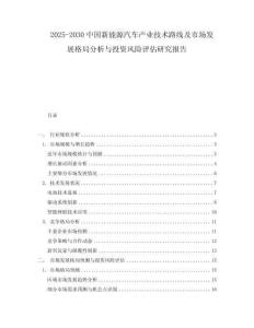 2025-2030中國(guó)新能源汽車產(chǎn)業(yè)技術(shù)路線及市場(chǎng)發(fā)展格局分析與投資風(fēng)險(xiǎn)評(píng)估研究報(bào)告