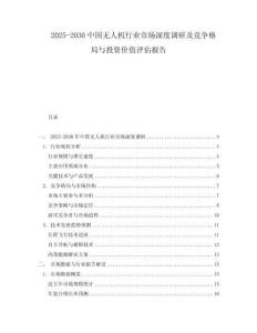 2025-2030中國無人機行業市場深度調研及競爭格局與投資價值評估報告