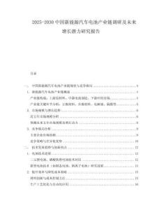 2025-2030中國(guó)新能源汽車電池產(chǎn)業(yè)鏈調(diào)研及未來(lái)增長(zhǎng)潛力研究報(bào)告