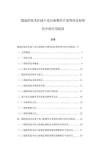 微流控技術在地下水污染物多介質界面過程研究中的應用進展