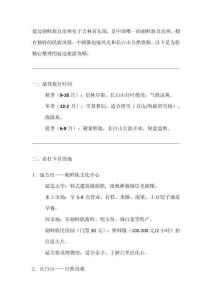 延邊州旅游攻略