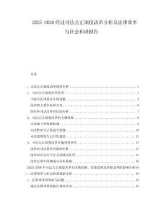 2025-2030經過司法公正制度改革分析及法律效率與社會和諧報告