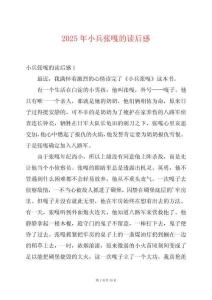 2025年小兵張嘎的讀后感