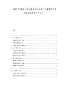 2025至2030二氧化碳數據記錄器行業深度研究及發展前景投資評估分析