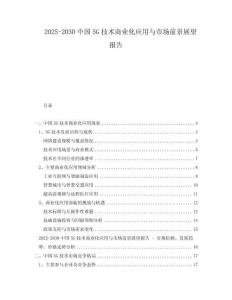 2025-2030中國5G技術商業化應用與市場前景展望報告