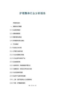 護(hù)理整體行業(yè)分析報(bào)告