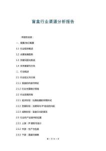 盲盒行業渠道分析報告