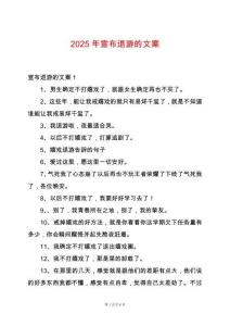 2025年宣布退游的文案