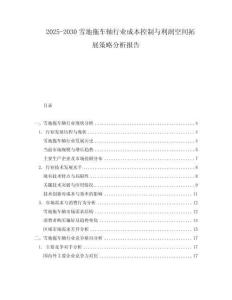 2025-2030雪地拖車軸行業(yè)成本控制與利潤空間拓展策略分析報(bào)告