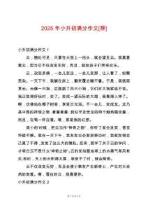 2025年小升初滿分作文[薦]