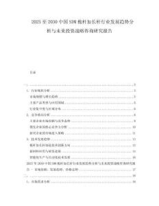 2025至2030中國SDM桅桿加長桿行業(yè)發(fā)展趨勢分析與未來投資戰(zhàn)略咨詢研究報告