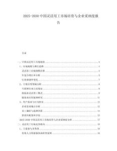 2025-2030中國靈活用工市場培育與企業采納度報告