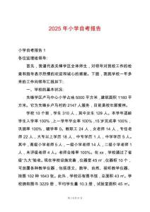 2025年小學(xué)自考報告