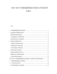 2025-2030中國(guó)新能源儲(chǔ)能技術(shù)突破與應(yīng)用前景研究報(bào)告