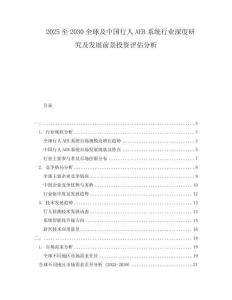2025至2030全球及中國(guó)行人AEB系統(tǒng)行業(yè)深度研究及發(fā)展前景投資評(píng)估分析