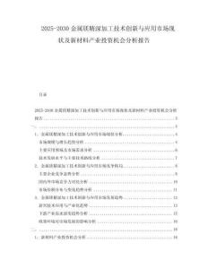 2025-2030金屬鎂精深加工技術創新與應用市場現狀及新材料產業投資機會分析報告
