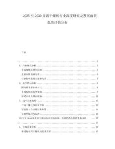 2025至2030并流干燥機(jī)行業(yè)深度研究及發(fā)展前景投資評(píng)估分析