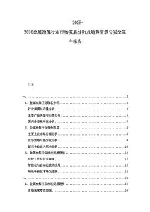 2025-2030金屬冶煉行業市場發展分析及趨勢前景與安全生產報告