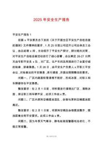 2025年安全生產報告