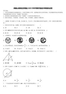 西藏山南地區貢嘎縣2025年中考數學最后沖刺模擬試卷含解析