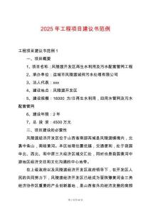 2025年工程項目建議書范例